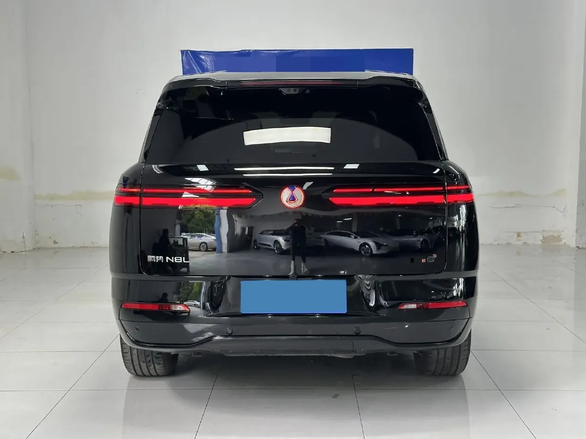 2025 Denza DenzaN8L 2.0T 207HP L4 E-CVT PHEV,autocango,china used car exporter,china ev exporter,chinese used car exporter,chinese used ev exporter