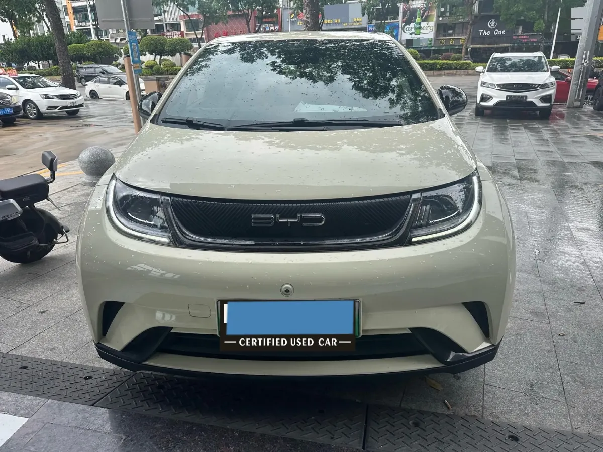 2023 BYD Dolphin BEV 44.928KWH,autocango,china used car exporter,china ev exporter,chinese used car exporter,chinese used ev exporter