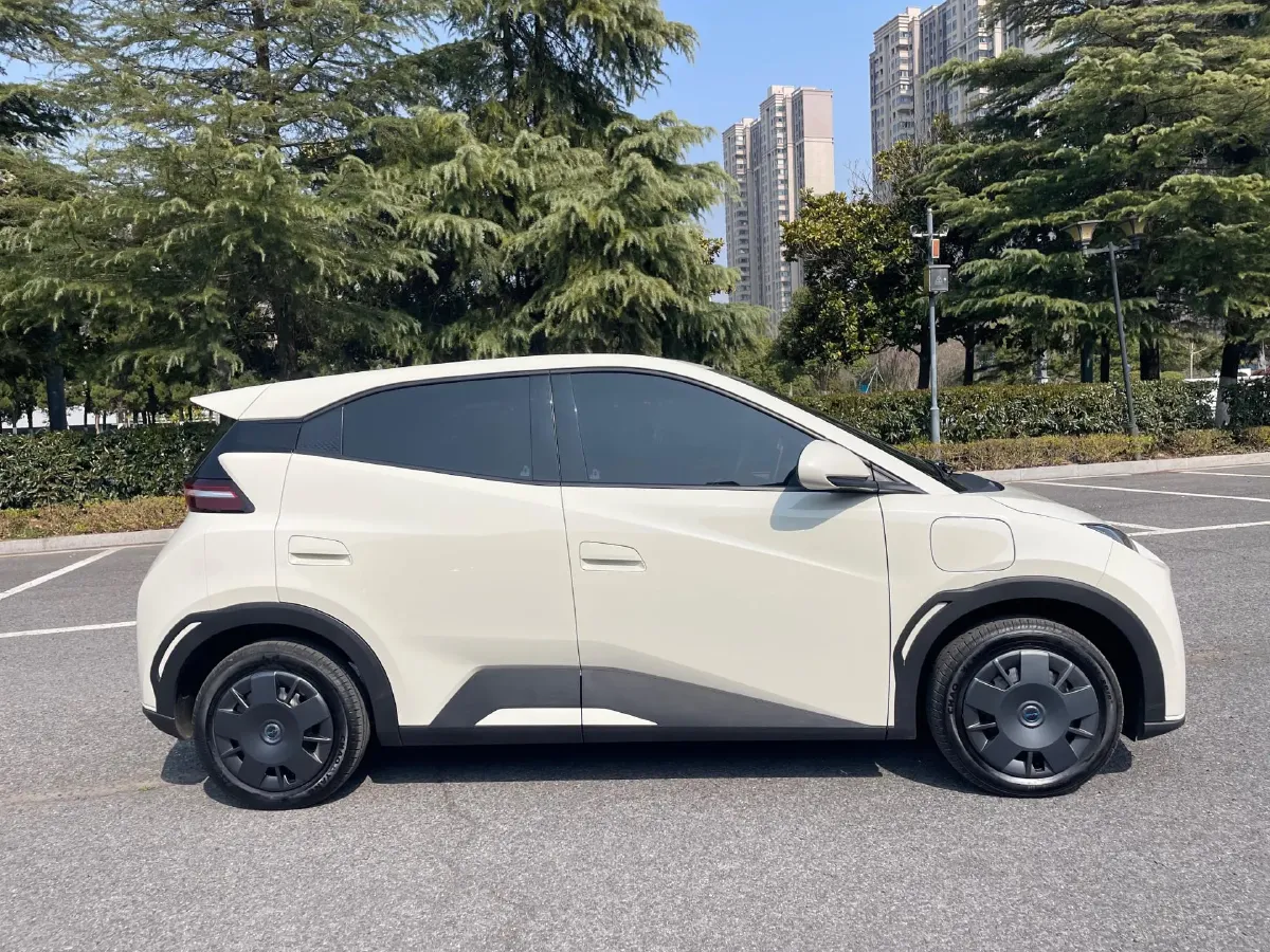 2025 BYD Seagull BEV 30.08KWH,autocango,china used car exporter,china ev exporter,chinese used car exporter,chinese used ev exporter