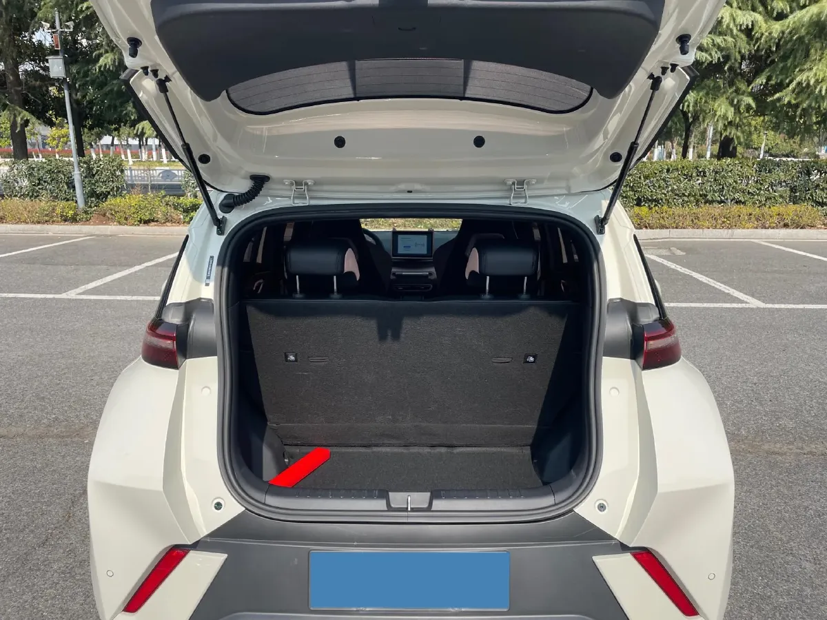 2025 BYD Seagull BEV 30.08KWH,autocango,china used car exporter,china ev exporter,chinese used car exporter,chinese used ev exporter