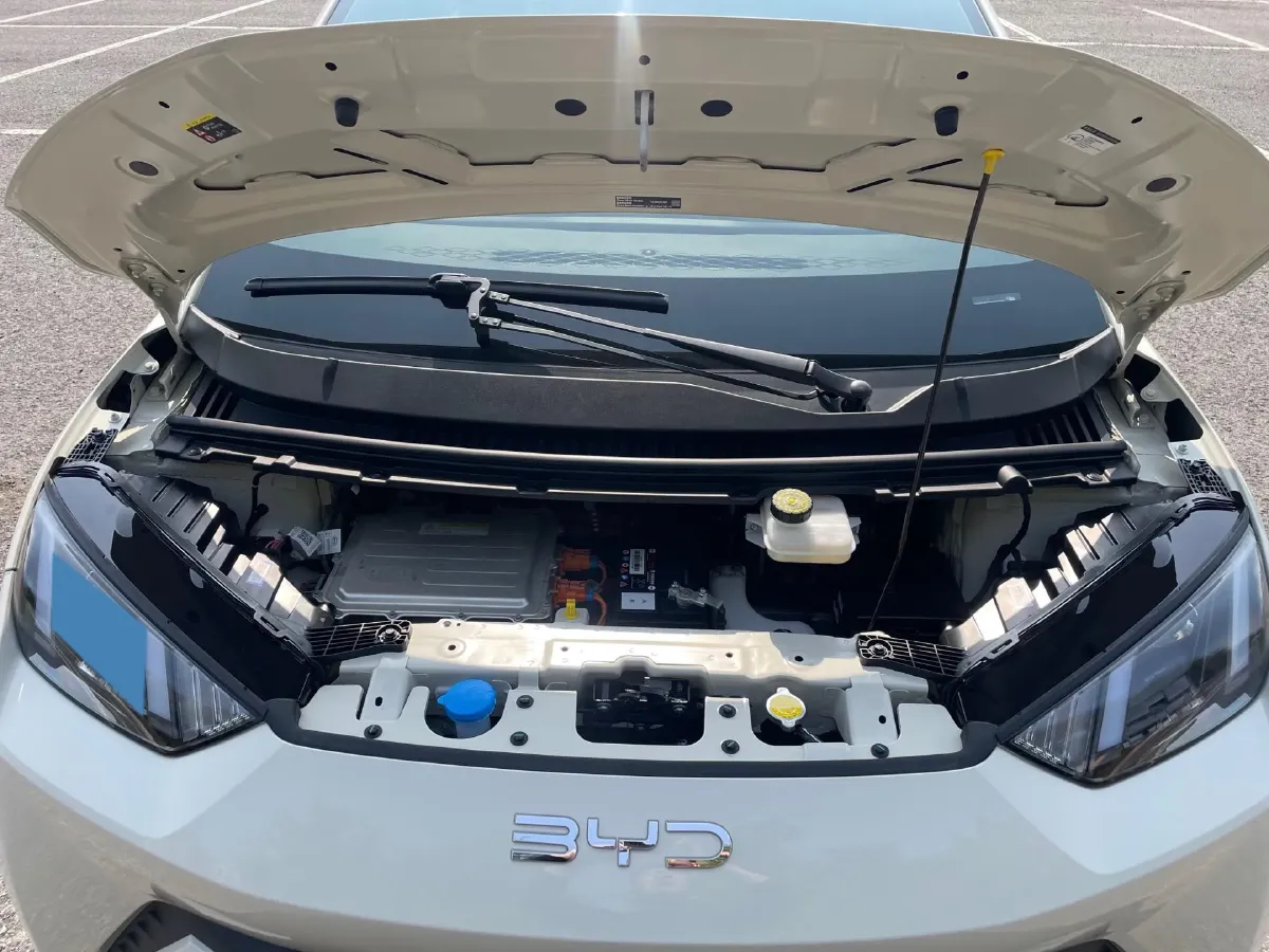 2025 BYD Seagull BEV 30.08KWH,autocango,china used car exporter,china ev exporter,chinese used car exporter,chinese used ev exporter