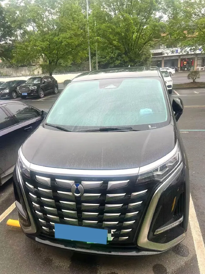 2024 Denza D9 1.5T 139HP L4 E-CVT PHEV 40KWH,autocango,china used car exporter,china ev exporter,chinese used car exporter,chinese used ev exporter