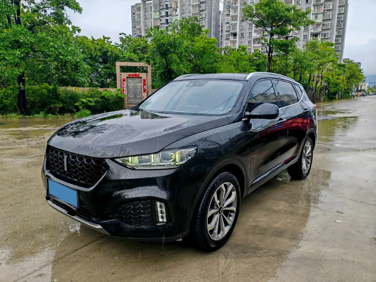2018 WEY VV6 2.0T 197HP L4 7DCT,autocango,china used car exporter,china ev exporter,chinese used car exporter,chinese used ev exporter