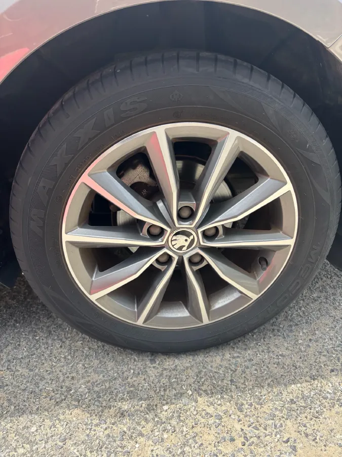2019 Skoda Octavia 1.5L 116HP L4 6AT,autocango,china used car exporter,china ev exporter,chinese used car exporter,chinese used ev exporter