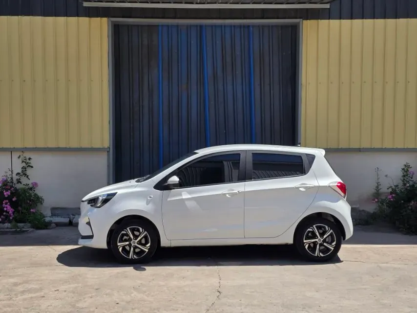 2021 ChangAn BenBen E-Star BEV 32.2KWH,autocango,china used car exporter,china ev exporter,chinese used car exporter,chinese used ev exporter