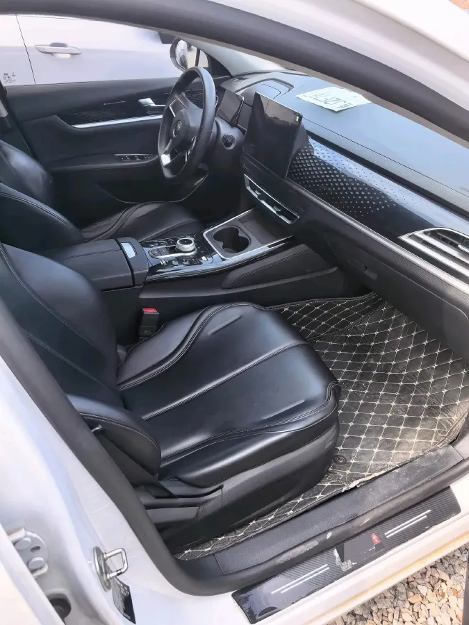 2021 BYD Qin Plus BEV 47.5KWH,autocango,china used car exporter,china ev exporter,chinese used car exporter,chinese used ev exporter