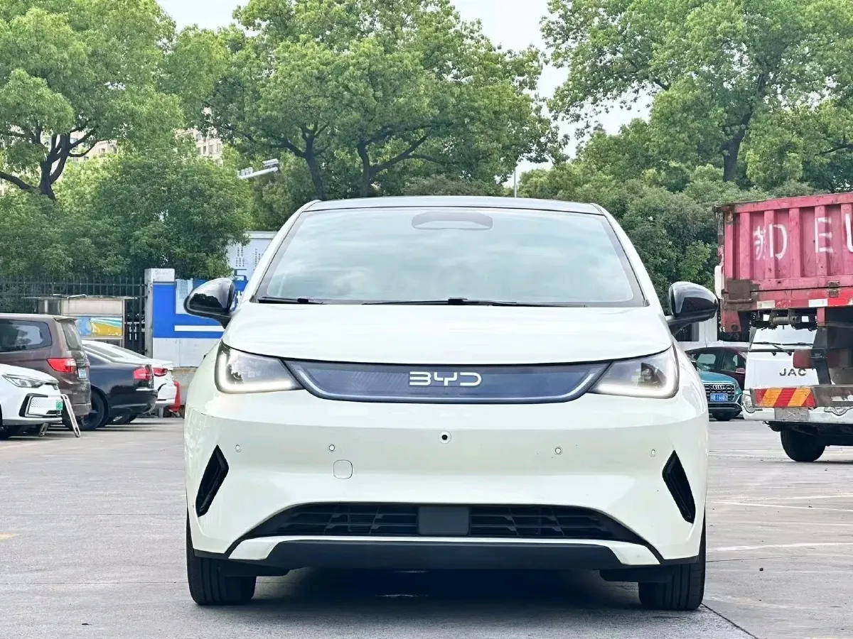 2025 BYD Dolphin BEV 45.12KWH,autocango,china used car exporter,china ev exporter,chinese used car exporter,chinese used ev exporter