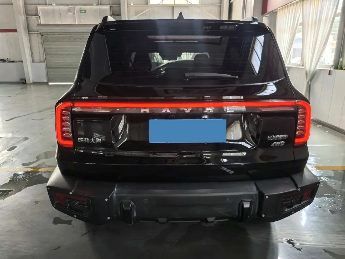 2024 Haval Dargo 2.0T 238HP L4 9DCT,autocango,china used car exporter,china ev exporter,chinese used car exporter,chinese used ev exporter