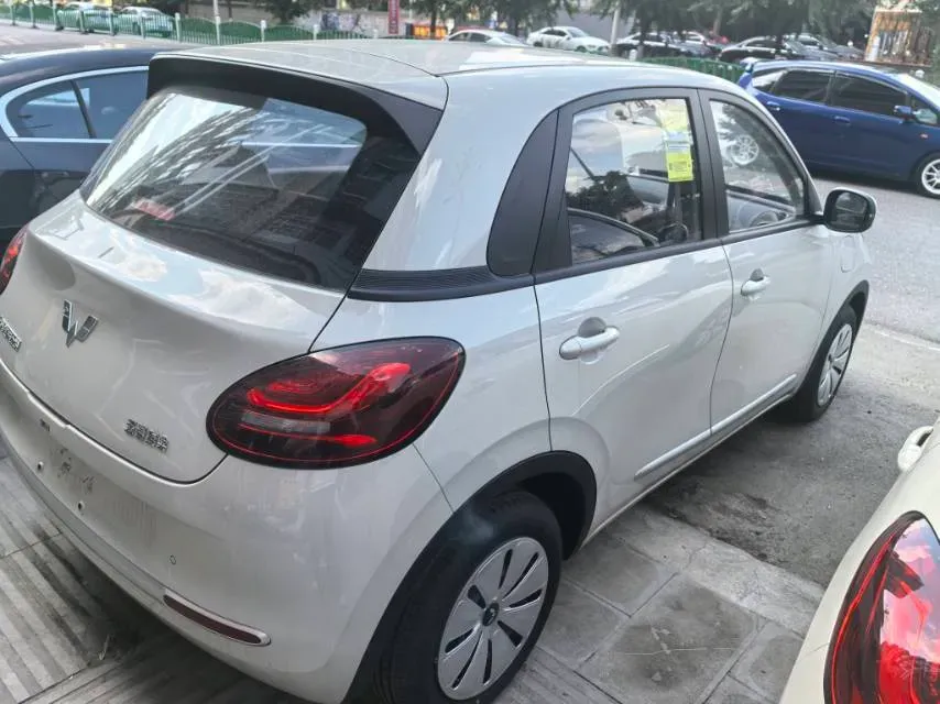 2024 WuLing BinGuo BEV 17.3KWH,autocango,china used car exporter,china ev exporter,chinese used car exporter,chinese used ev exporter