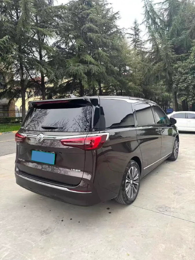 2021 Buick GL8 2.0T 237HP L4 9AT,autocango,china used car exporter,china ev exporter,chinese used car exporter,chinese used ev exporter