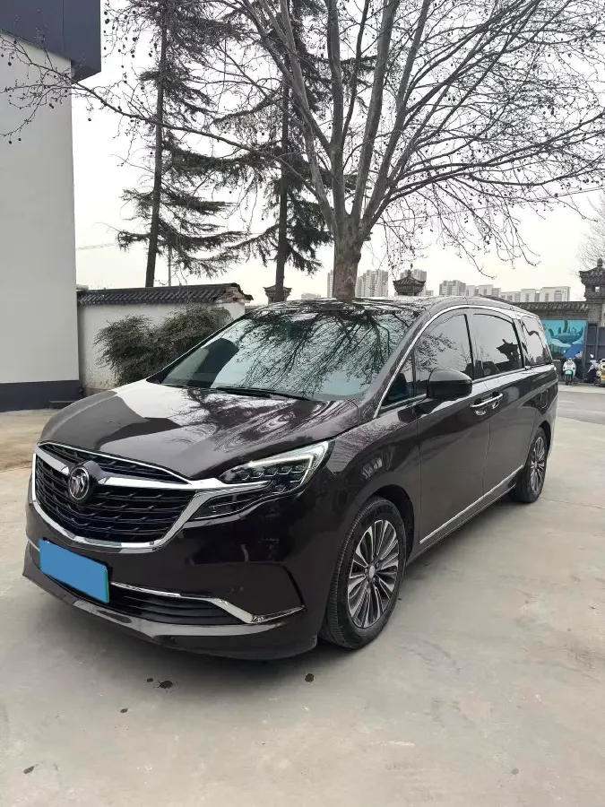 2021 Buick GL8 2.0T 237HP L4 9AT,autocango,china used car exporter,china ev exporter,chinese used car exporter,chinese used ev exporter