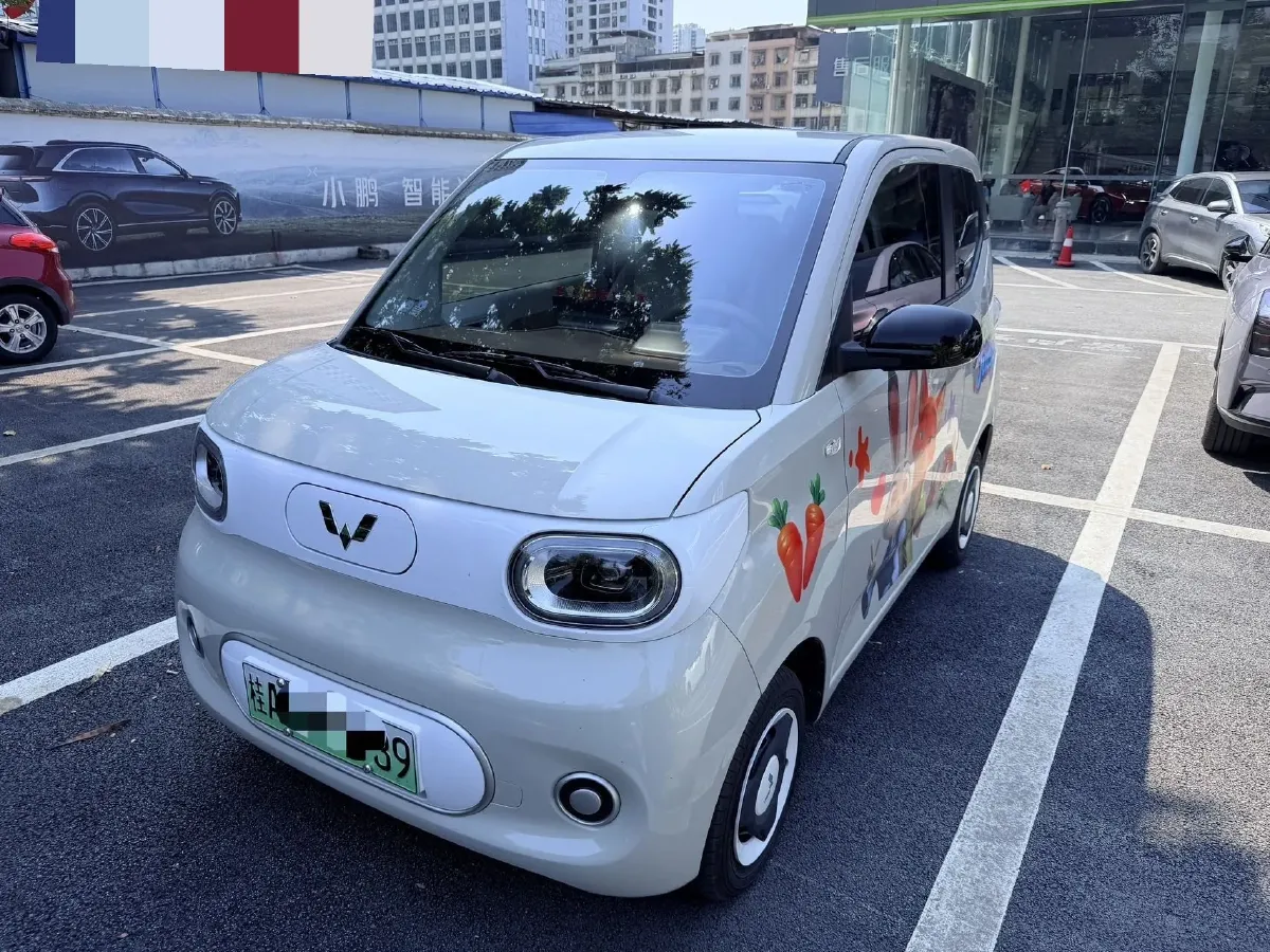 2024 WuLing HongGuang MINI EV BEV 17.3KWH,autocango,china used car exporter,china ev exporter,chinese used car exporter,chinese used ev exporter
