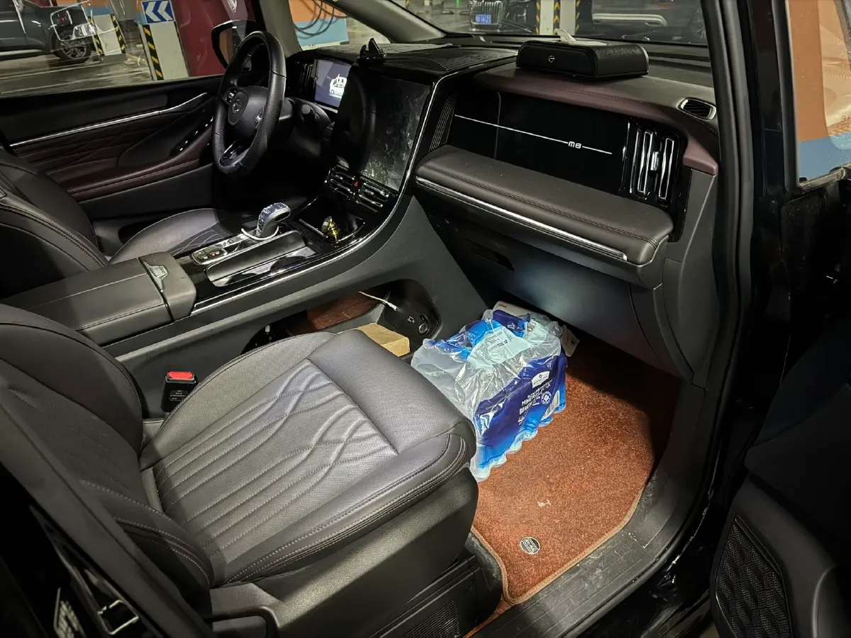 2024 GAC Trumpchi M8 2.0T 252HP L4 8AT,autocango,china used car exporter,china ev exporter,chinese used car exporter,chinese used ev exporter