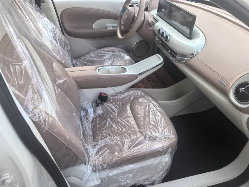 2025 WuLing BinGuo BEV,autocango,china used car exporter,china ev exporter,chinese used car exporter,chinese used ev exporter