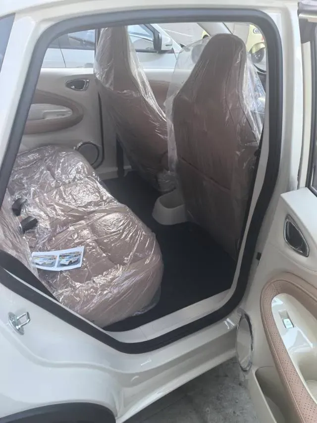 2025 WuLing BinGuo BEV,autocango,china used car exporter,china ev exporter,chinese used car exporter,chinese used ev exporter