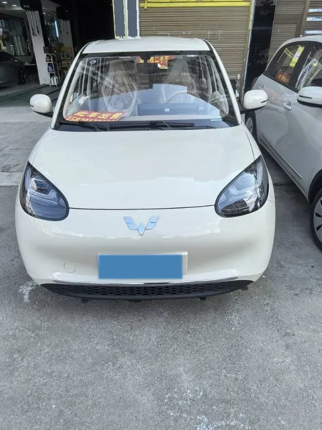 2025 WuLing BinGuo BEV,autocango,china used car exporter,china ev exporter,chinese used car exporter,chinese used ev exporter