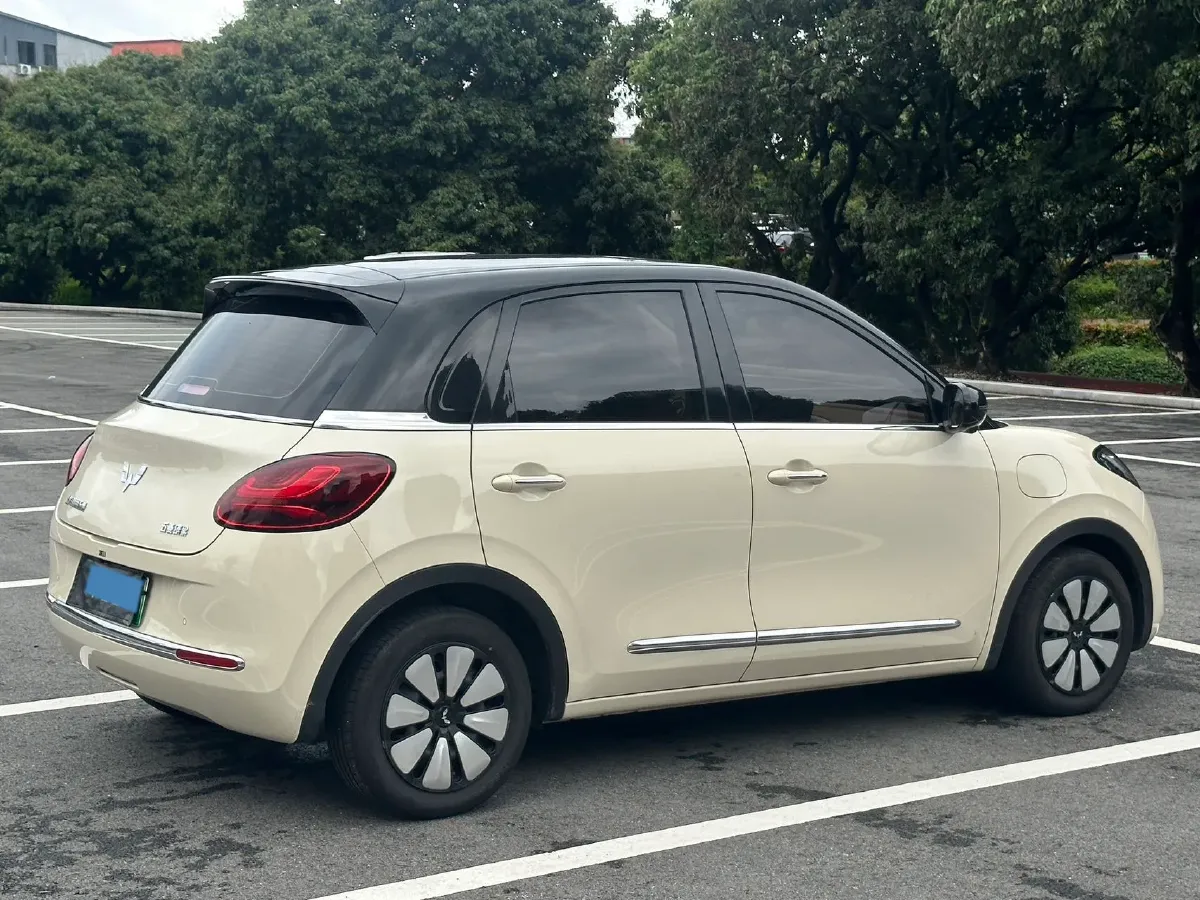 2024 WuLing BinGuo BEV 37.9KWH,autocango,china used car exporter,china ev exporter,chinese used car exporter,chinese used ev exporter