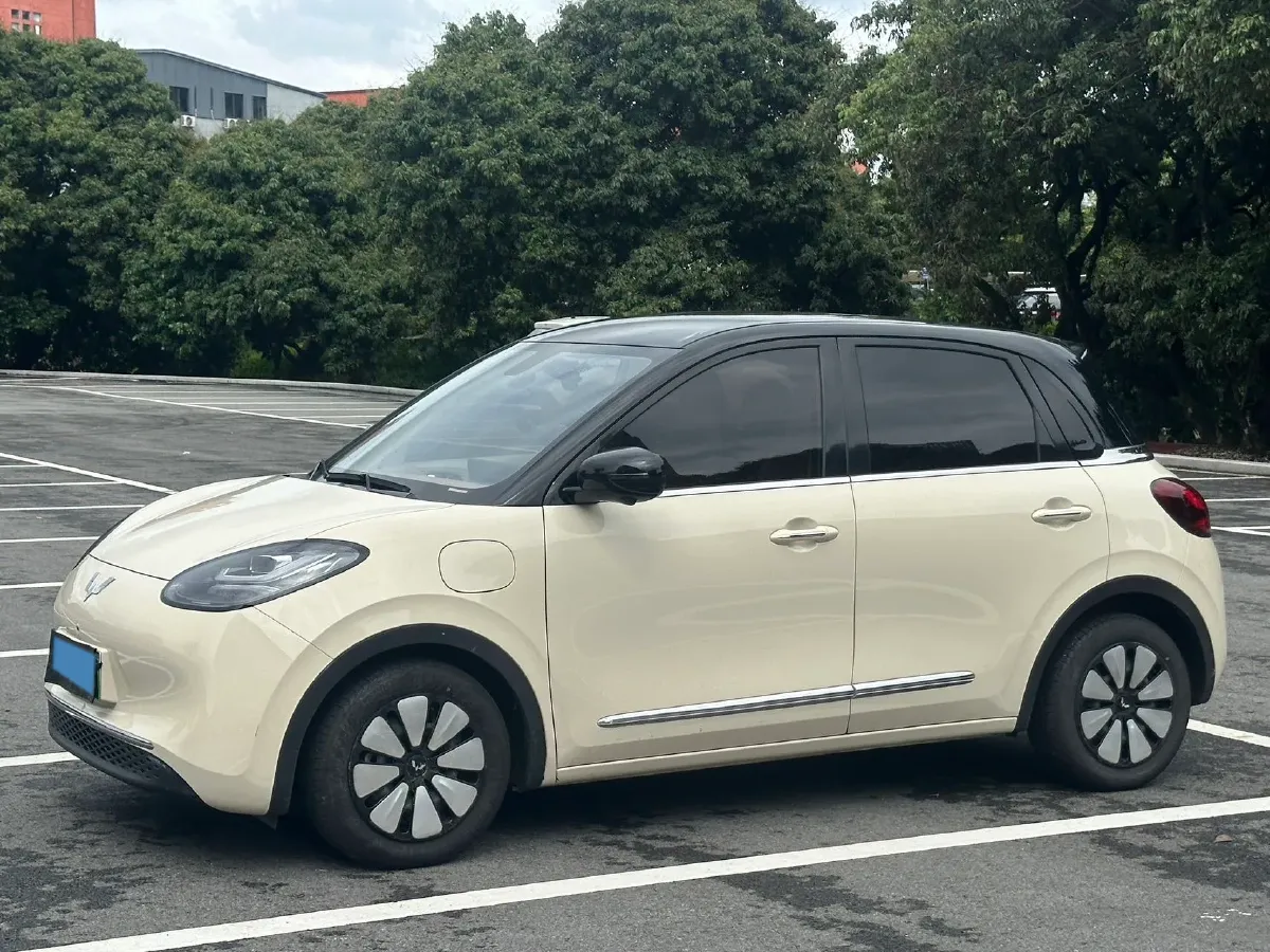 2024 WuLing BinGuo BEV 37.9KWH,autocango,china used car exporter,china ev exporter,chinese used car exporter,chinese used ev exporter
