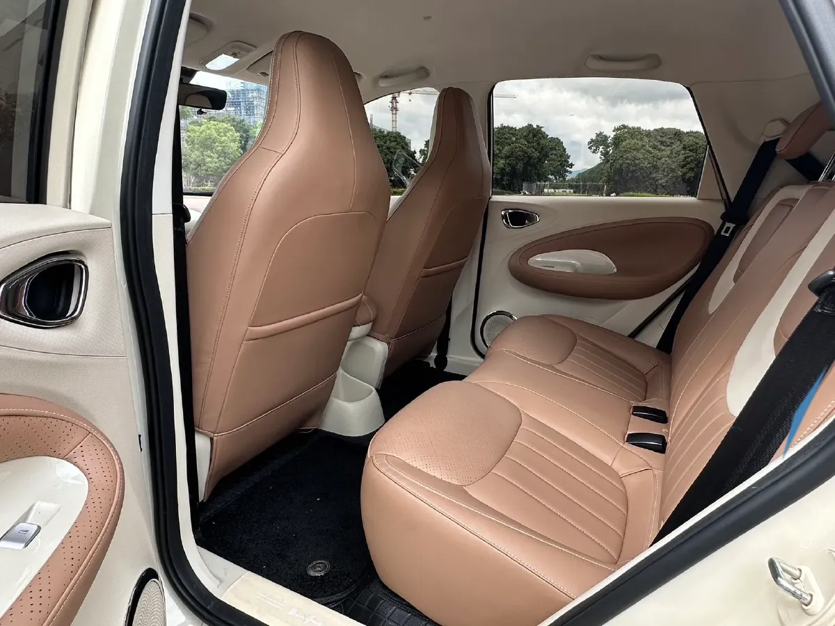 2024 WuLing BinGuo BEV 37.9KWH,autocango,china used car exporter,china ev exporter,chinese used car exporter,chinese used ev exporter