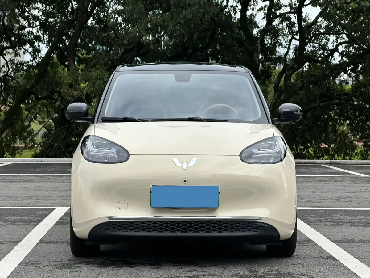 2024 WuLing BinGuo BEV 37.9KWH,autocango,china used car exporter,china ev exporter,chinese used car exporter,chinese used ev exporter