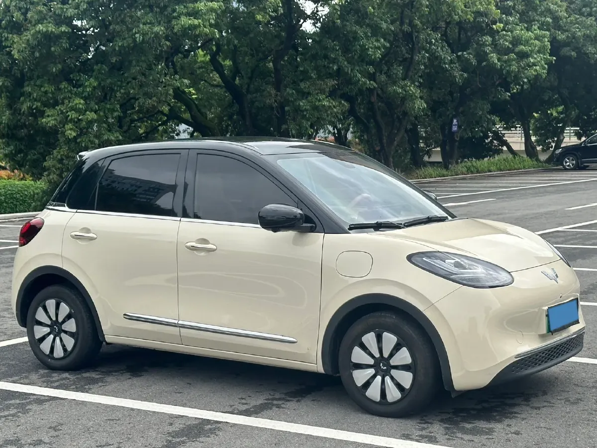 2024 WuLing BinGuo BEV 37.9KWH,autocango,china used car exporter,china ev exporter,chinese used car exporter,chinese used ev exporter