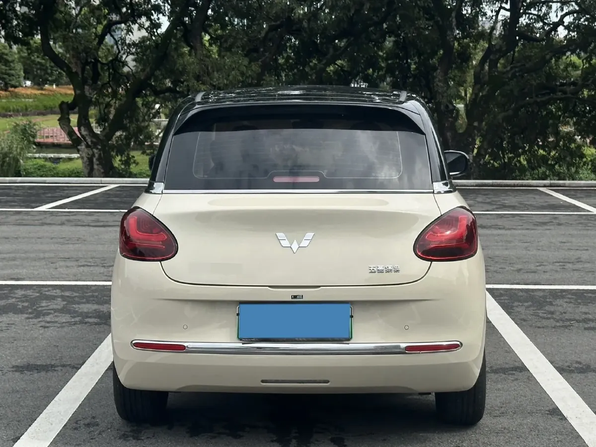 2024 WuLing BinGuo BEV 37.9KWH,autocango,china used car exporter,china ev exporter,chinese used car exporter,chinese used ev exporter