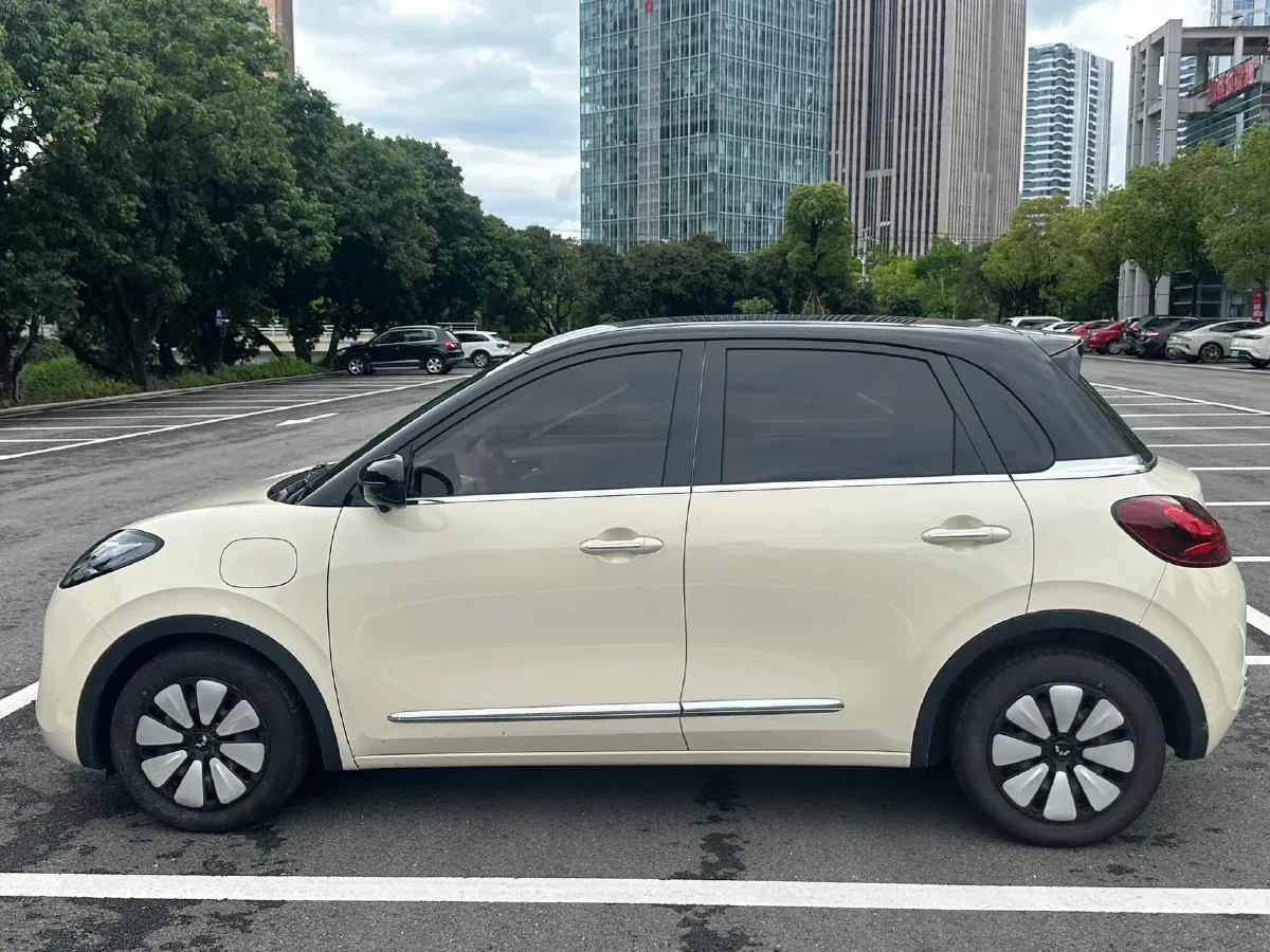 2024 WuLing BinGuo BEV 37.9KWH,autocango,china used car exporter,china ev exporter,chinese used car exporter,chinese used ev exporter