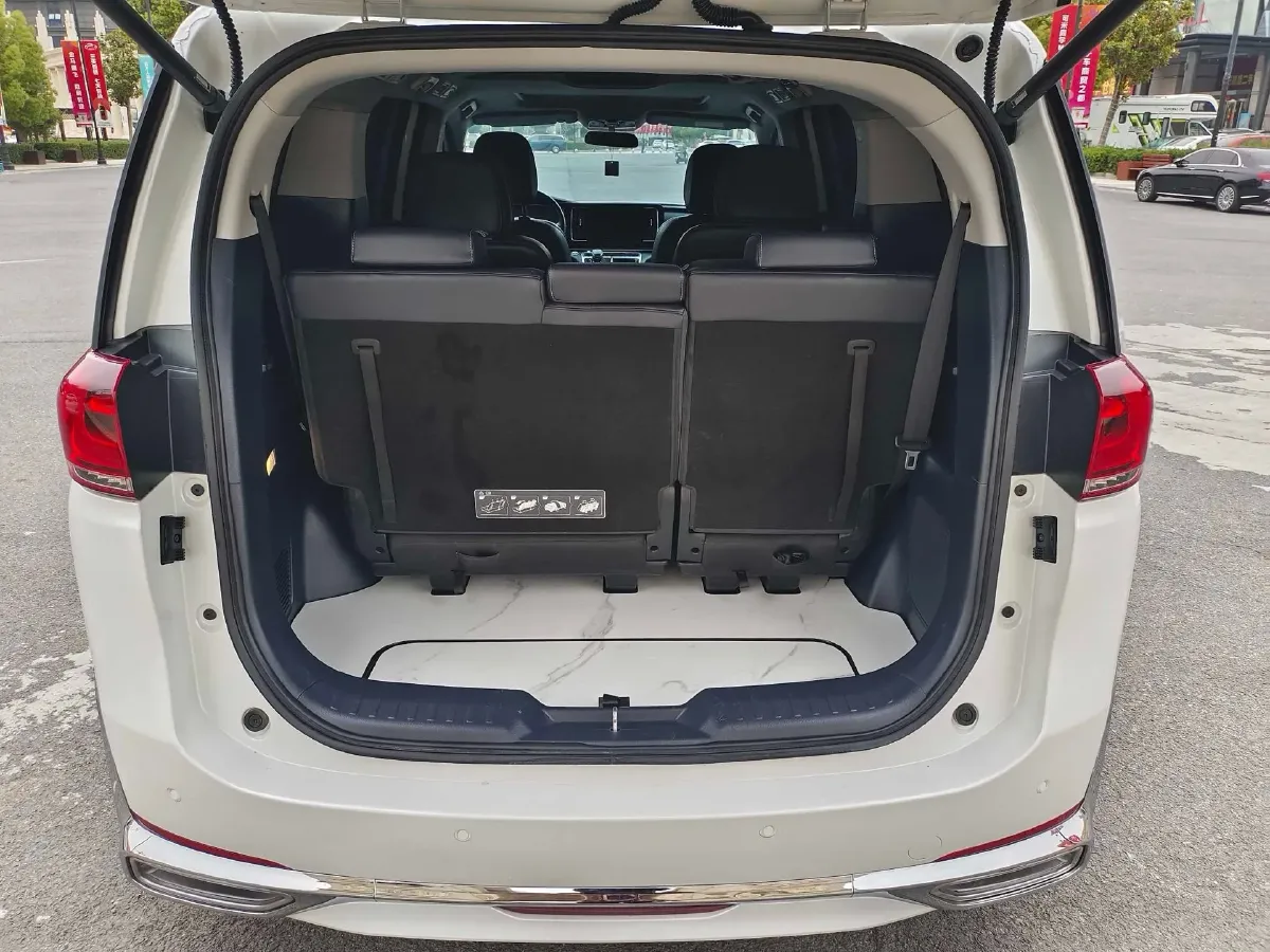 2024 GAC Trumpchi M8 2.0T 252HP L4 8AT,autocango,china used car exporter,china ev exporter,chinese used car exporter,chinese used ev exporter