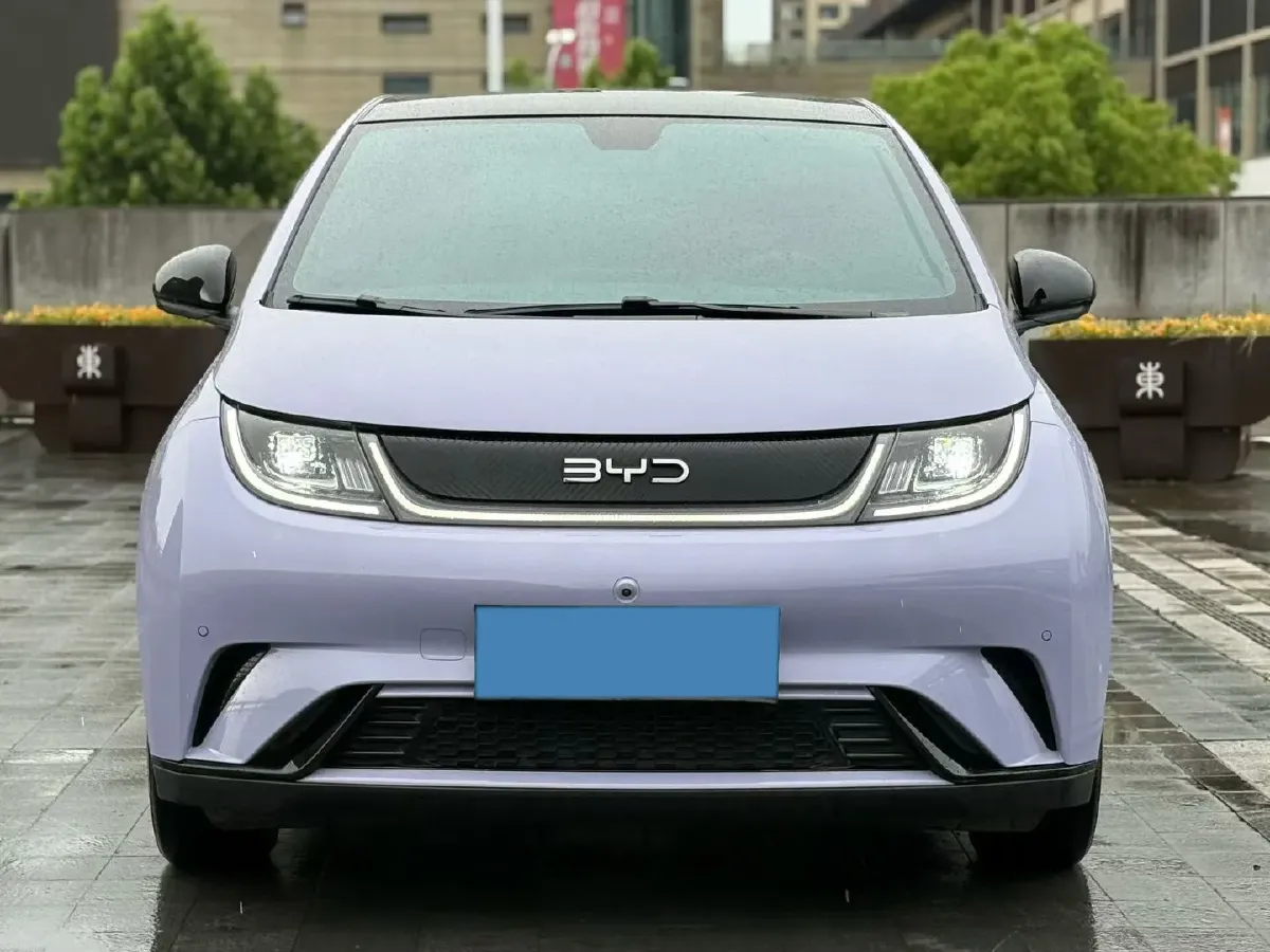 2024 BYD Dolphin BEV 44.928KWH,autocango,china used car exporter,china ev exporter,chinese used car exporter,chinese used ev exporter