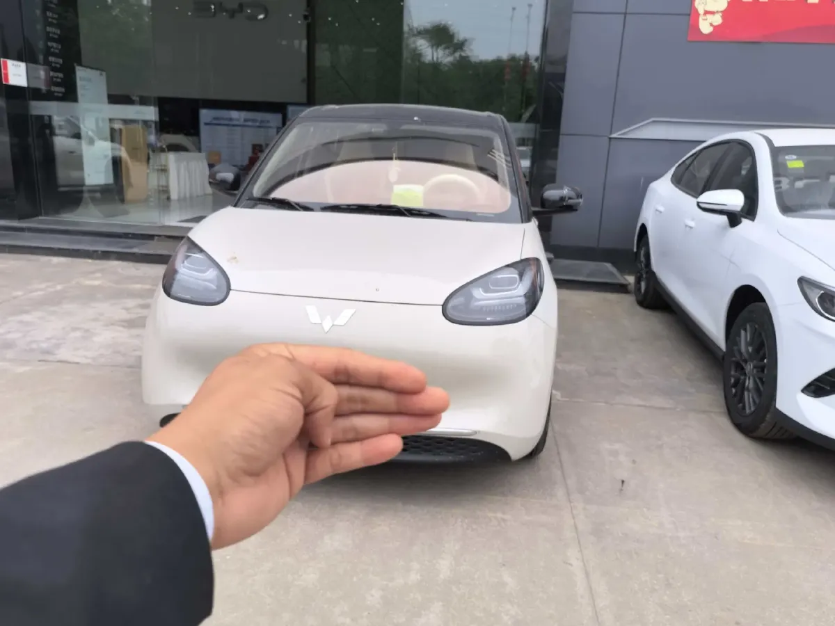 2025 WuLing BinGuo BEV,autocango,china used car exporter,china ev exporter,chinese used car exporter,chinese used ev exporter