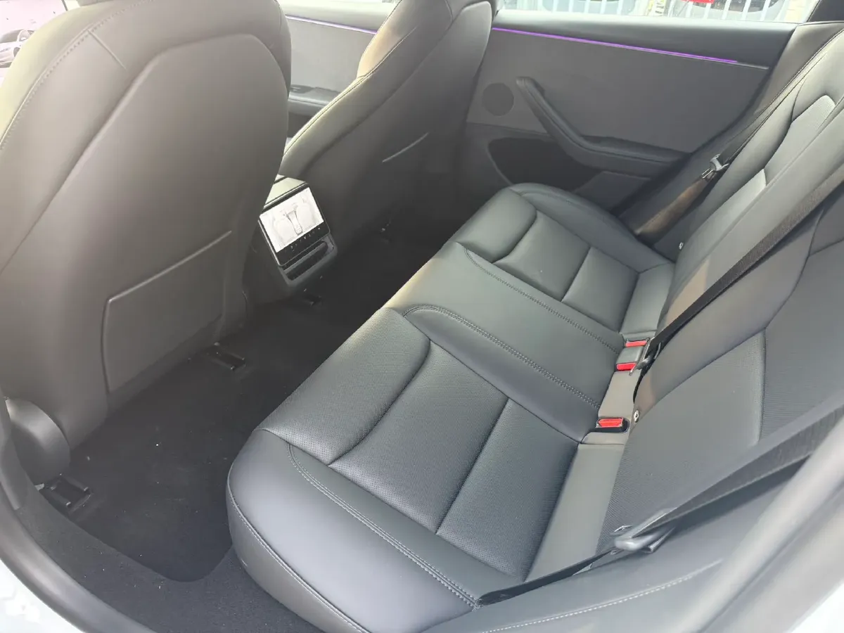 2025 Tesla Model 3 BEV,autocango,china used car exporter,china ev exporter,chinese used car exporter,chinese used ev exporter