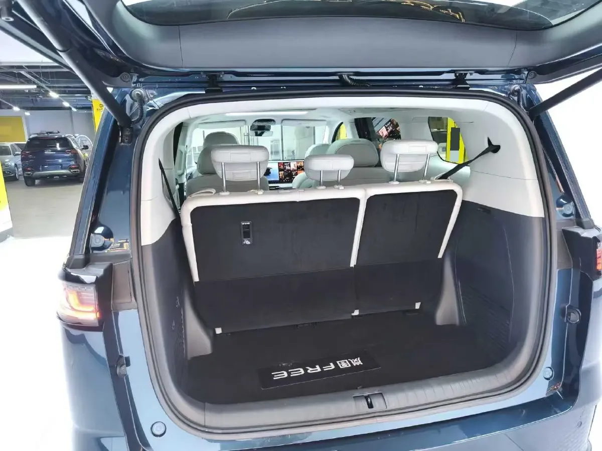2025 Voyah Dream 1.5T 150HP L4 PHEV 41.7KWH,autocango,china used car exporter,china ev exporter,chinese used car exporter,chinese used ev exporter