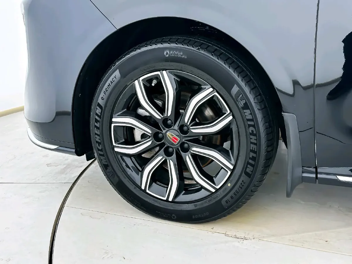 2023 HongQi HQ9 2.0T 252HP L4 8AT,autocango,china used car exporter,china ev exporter,chinese used car exporter,chinese used ev exporter