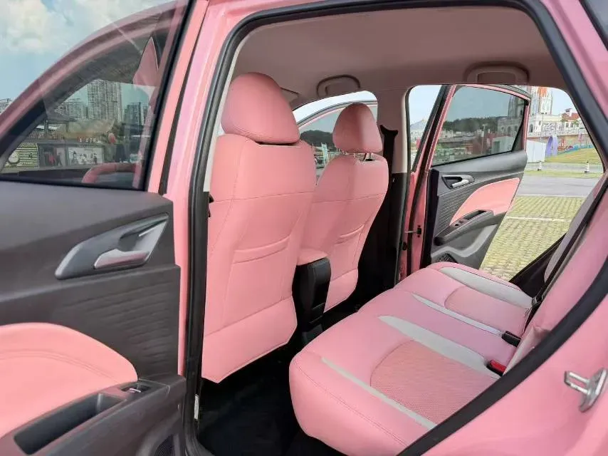 2021 Neta V BEV 31.18KWH,autocango,china used car exporter,china ev exporter,chinese used car exporter,chinese used ev exporter
