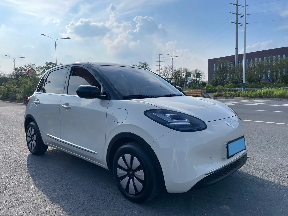 2025 WuLing BinGuo BEV,autocango,china used car exporter,china ev exporter,chinese used car exporter,chinese used ev exporter