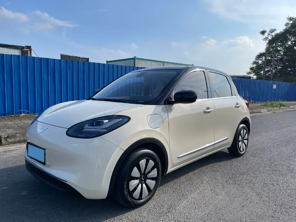 2025 WuLing BinGuo BEV,autocango,china used car exporter,china ev exporter,chinese used car exporter,chinese used ev exporter