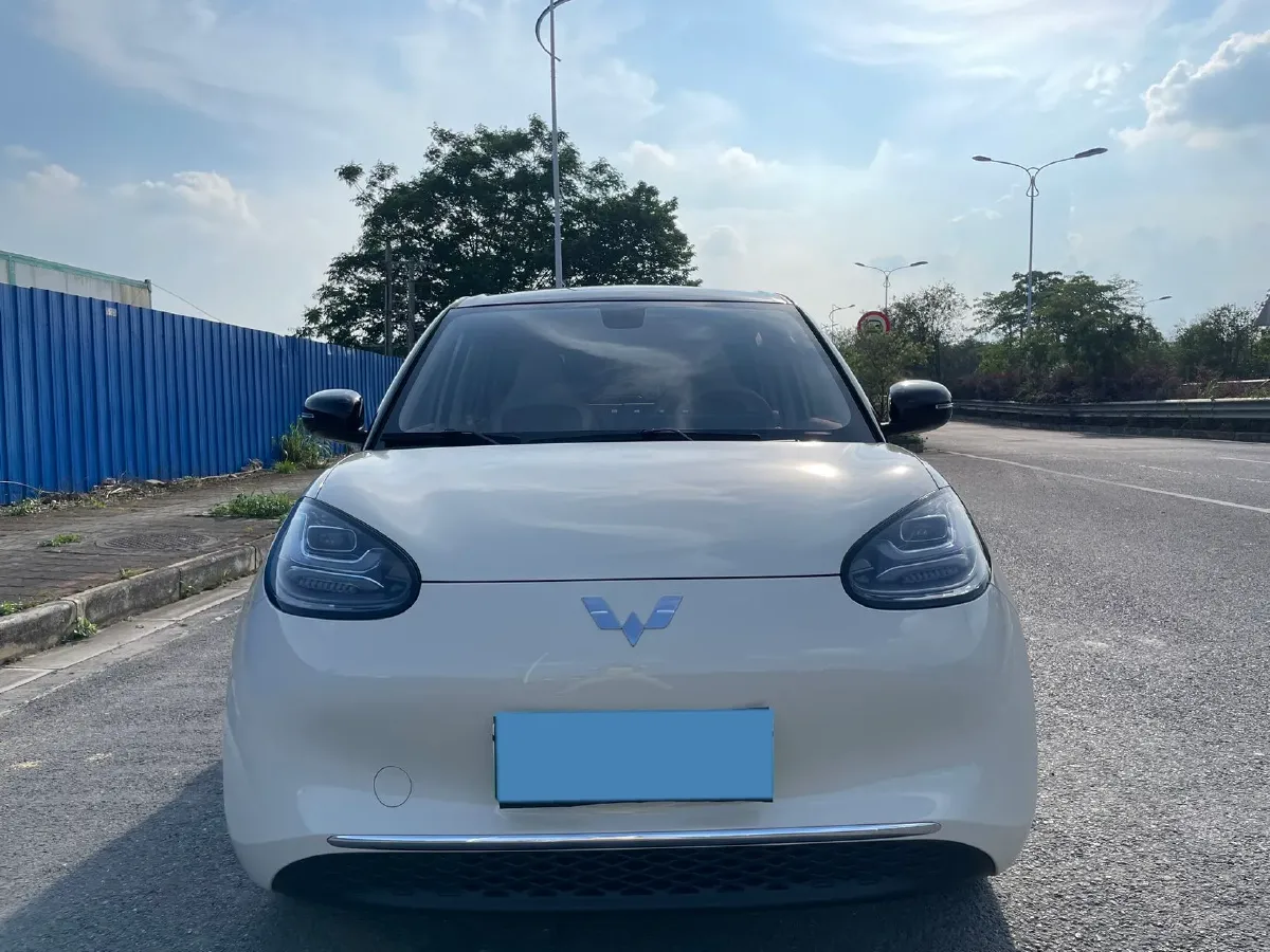 2025 WuLing BinGuo BEV,autocango,china used car exporter,china ev exporter,chinese used car exporter,chinese used ev exporter