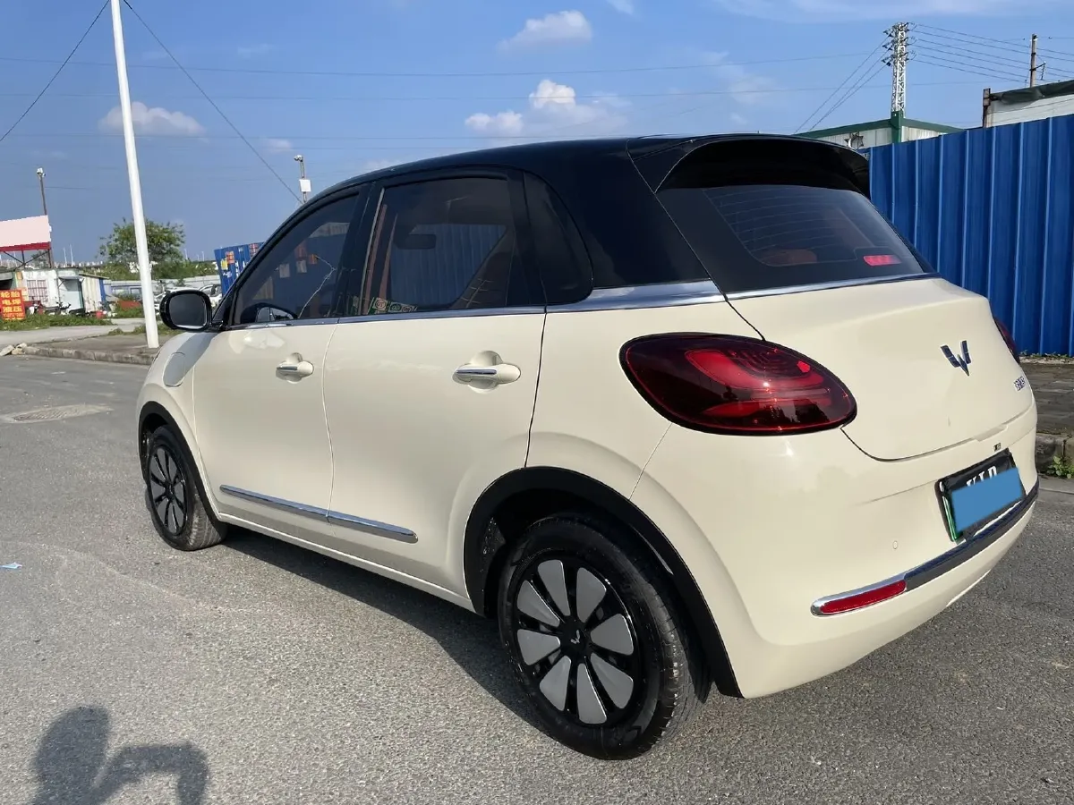 2025 WuLing BinGuo BEV,autocango,china used car exporter,china ev exporter,chinese used car exporter,chinese used ev exporter