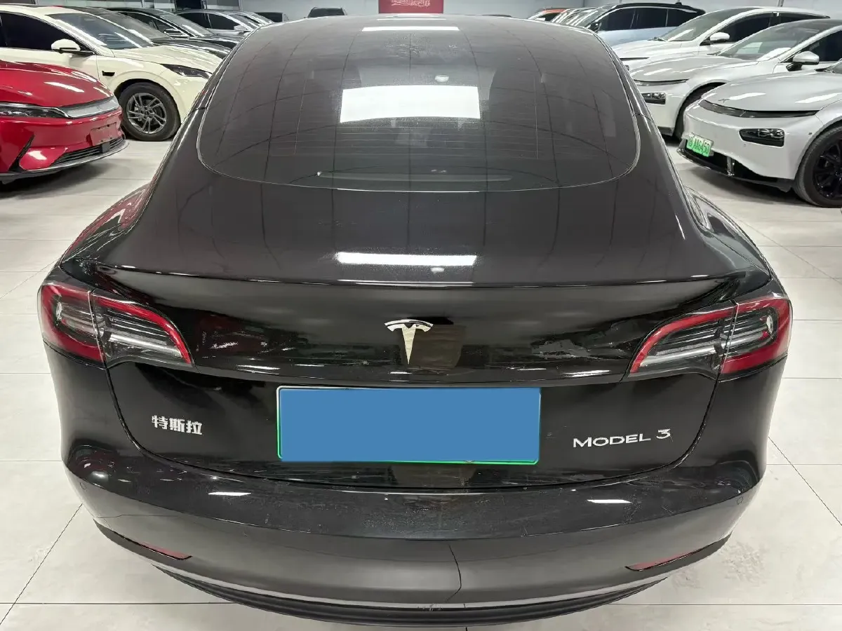 2021 Tesla Model 3 BEV 55KWH,autocango,china used car exporter,china ev exporter,chinese used car exporter,chinese used ev exporter