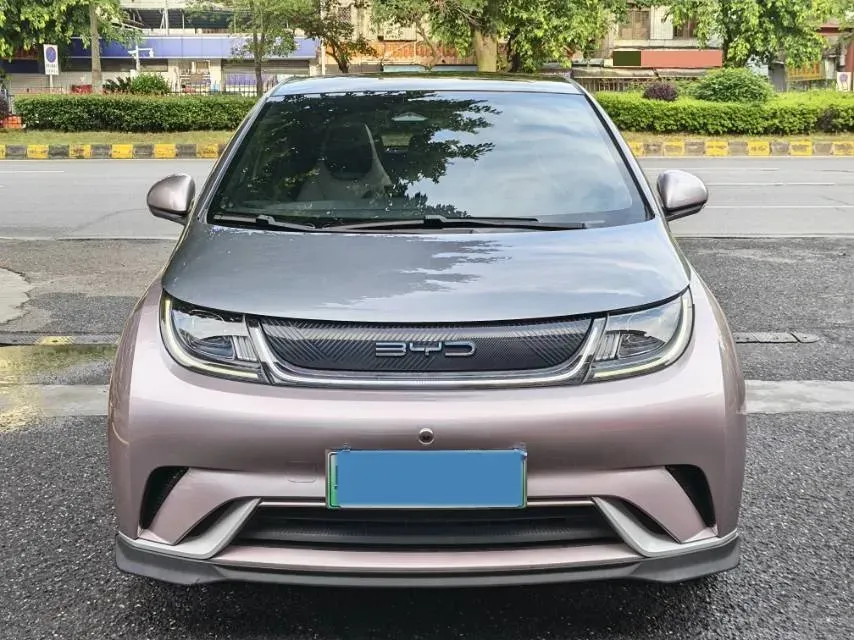 2021 BYD e2 BEV 43.2KWH,autocango,china used car exporter,china ev exporter,chinese used car exporter,chinese used ev exporter