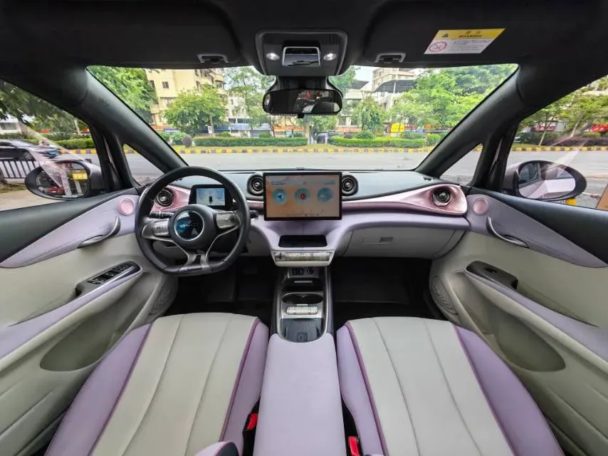 2021 BYD e2 BEV 43.2KWH,autocango,china used car exporter,china ev exporter,chinese used car exporter,chinese used ev exporter