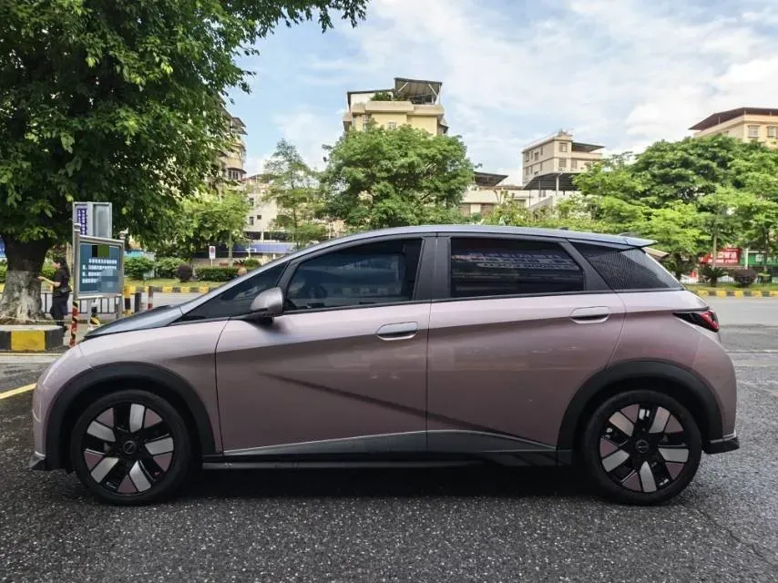 2021 BYD e2 BEV 43.2KWH,autocango,china used car exporter,china ev exporter,chinese used car exporter,chinese used ev exporter
