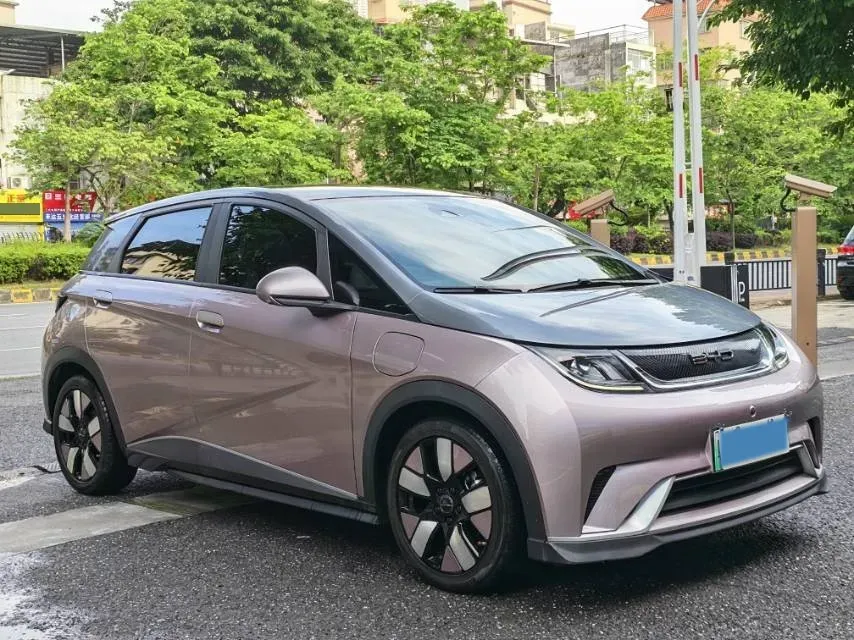 2021 BYD e2 BEV 43.2KWH,autocango,china used car exporter,china ev exporter,chinese used car exporter,chinese used ev exporter