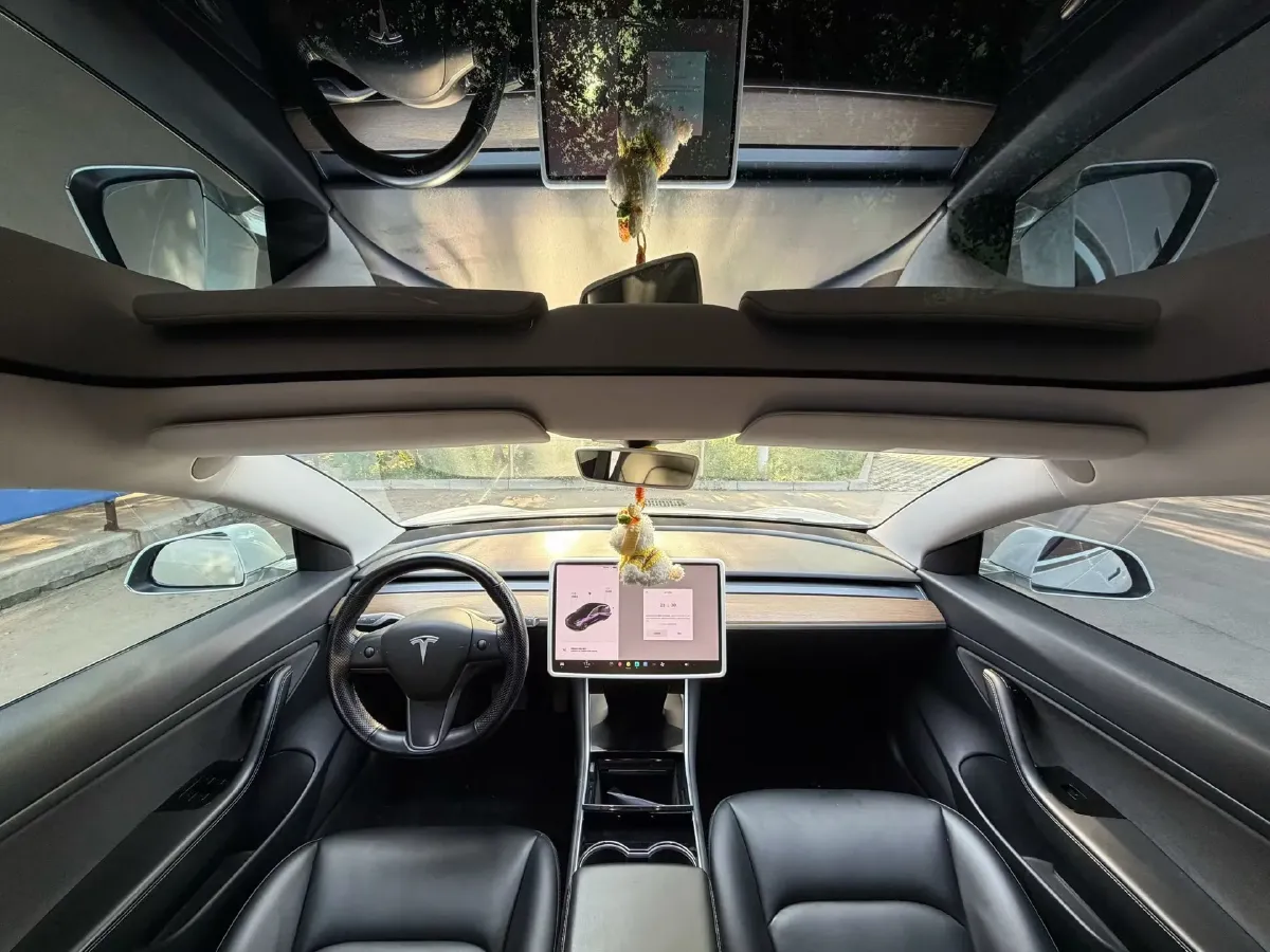 2020 Tesla Model 3 BEV 55KWH,autocango,china used car exporter,china ev exporter,chinese used car exporter,chinese used ev exporter