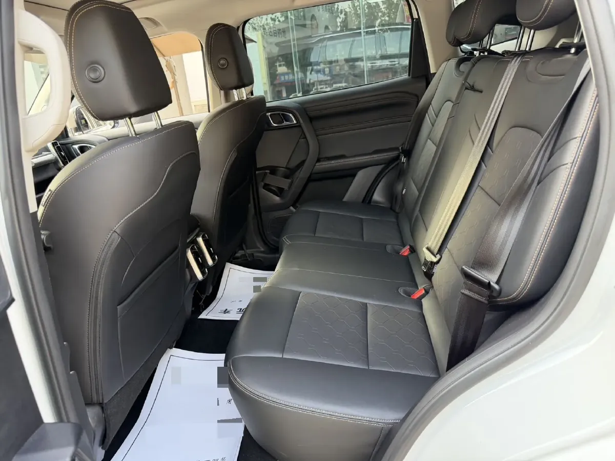 2024 Haval Dargo 2.0T 238HP L4 9DCT,autocango,china used car exporter,china ev exporter,chinese used car exporter,chinese used ev exporter