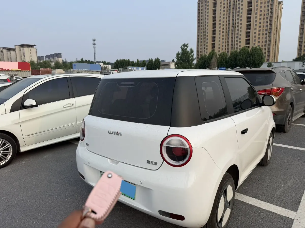2025 ChangAn QiYuan Lumin BEV 17.65KWH,autocango,china used car exporter,china ev exporter,chinese used car exporter,chinese used ev exporter