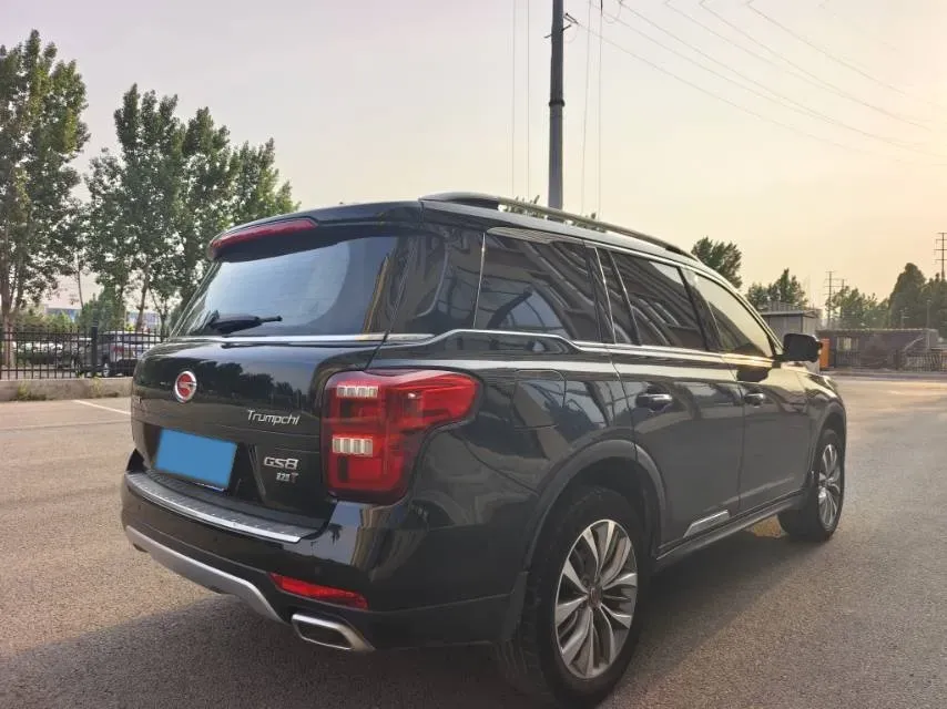 2017 GAC Trumpchi GS8 2.0T 201HP L4 6AT,autocango,china used car exporter,china ev exporter,chinese used car exporter,chinese used ev exporter