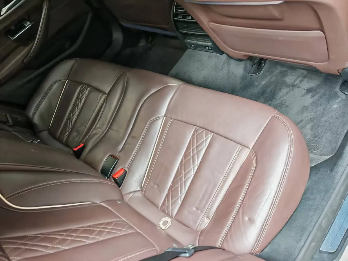 2020 BMW 5 Series 2.0T 252HP L4 8AT,autocango,china used car exporter,china ev exporter,chinese used car exporter,chinese used ev exporter