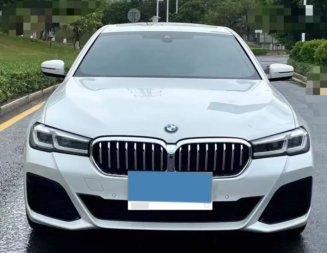 2021 BMW 5 Series 2.0T 252HP L4 8AT,autocango,china used car exporter,china ev exporter,chinese used car exporter,chinese used ev exporter