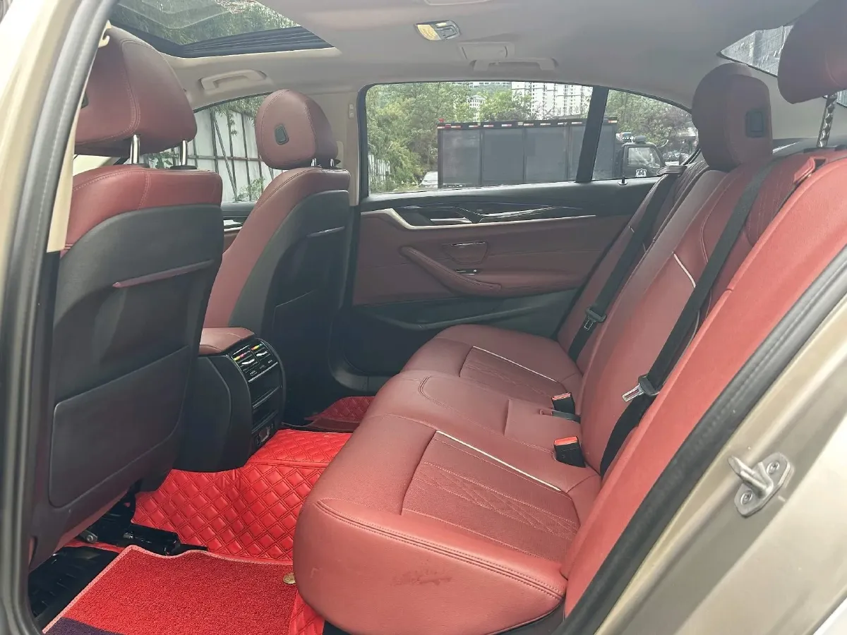 2021 BMW 5 Series 2.0T 184HP L4 8AT,autocango,china used car exporter,china ev exporter,chinese used car exporter,chinese used ev exporter